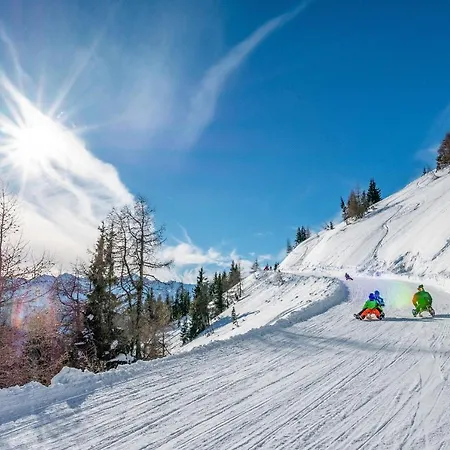 Apartment Alpine B9 Maishofen